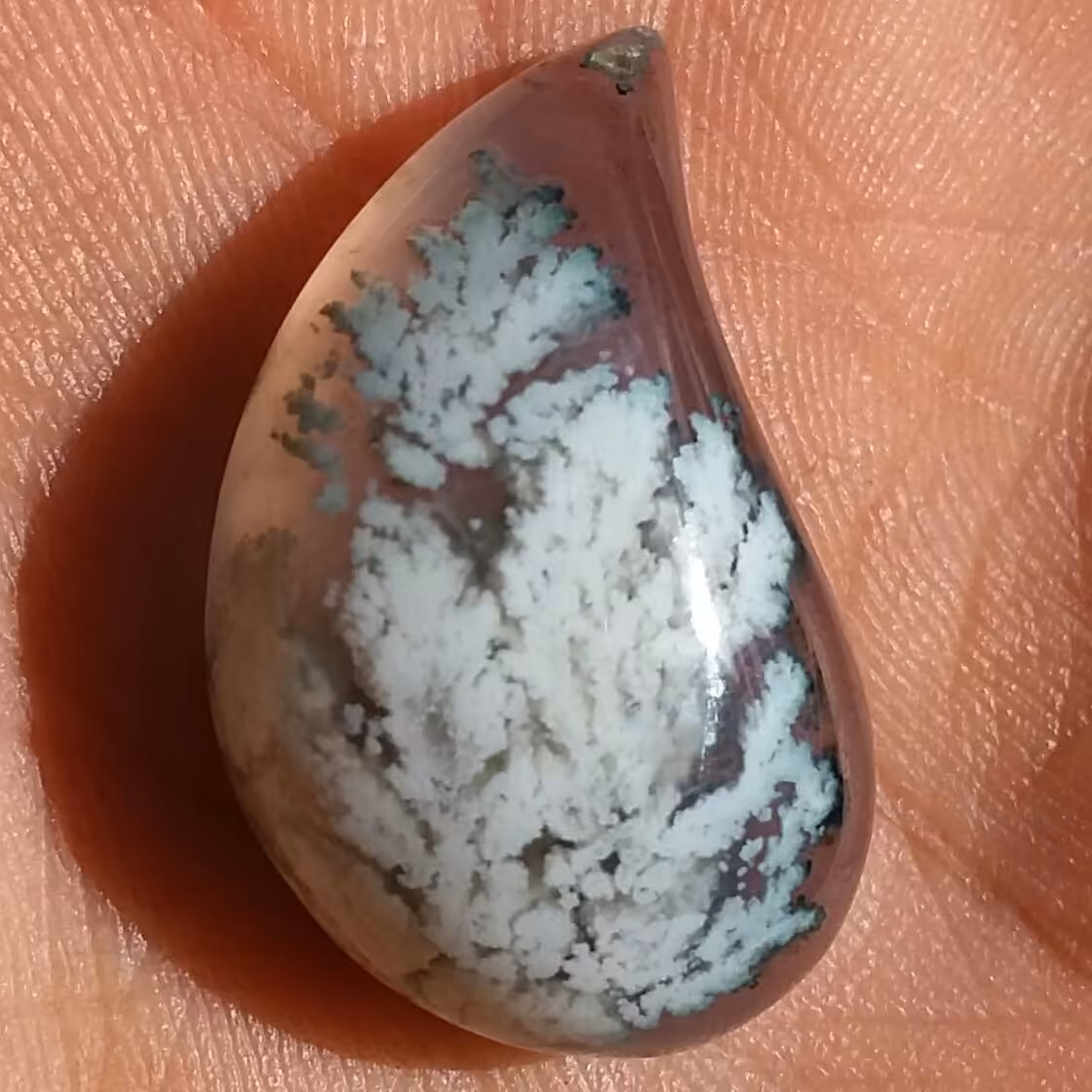 نگین شجر شکوفه زمینه سوسنی بی نظیر و تک شجر واضح تراش بته جقه
نمونه ای تکرار نشدنی خاص شاهکار خلقت
100 درصد طبیعی
