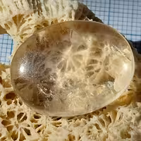 در طبیعی و اصیل معروف به در نجف