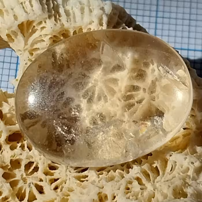 در طبیعی و اصیل معروف به در نجف