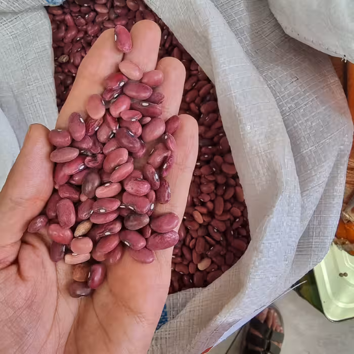 لوبیا قرمز دستچین و بوجار شده5کیلویی 