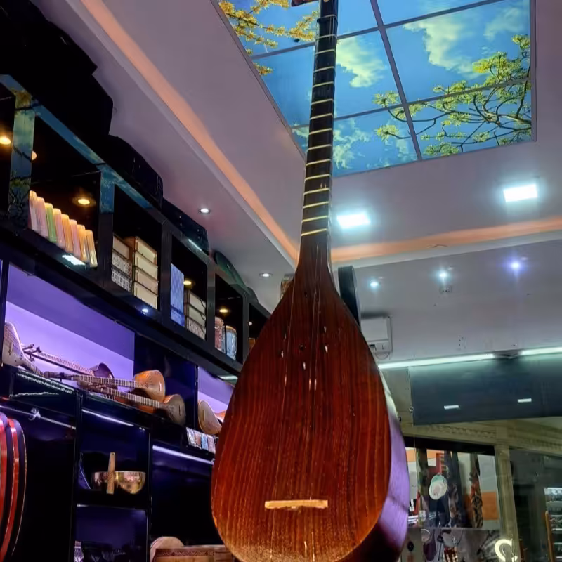 تنبور ویژه حسام محمدی 