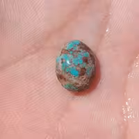 سنگ فیروزه اصل نیشابوری سبز ابوالحسنی عنکبوتی طبیعی زیبا