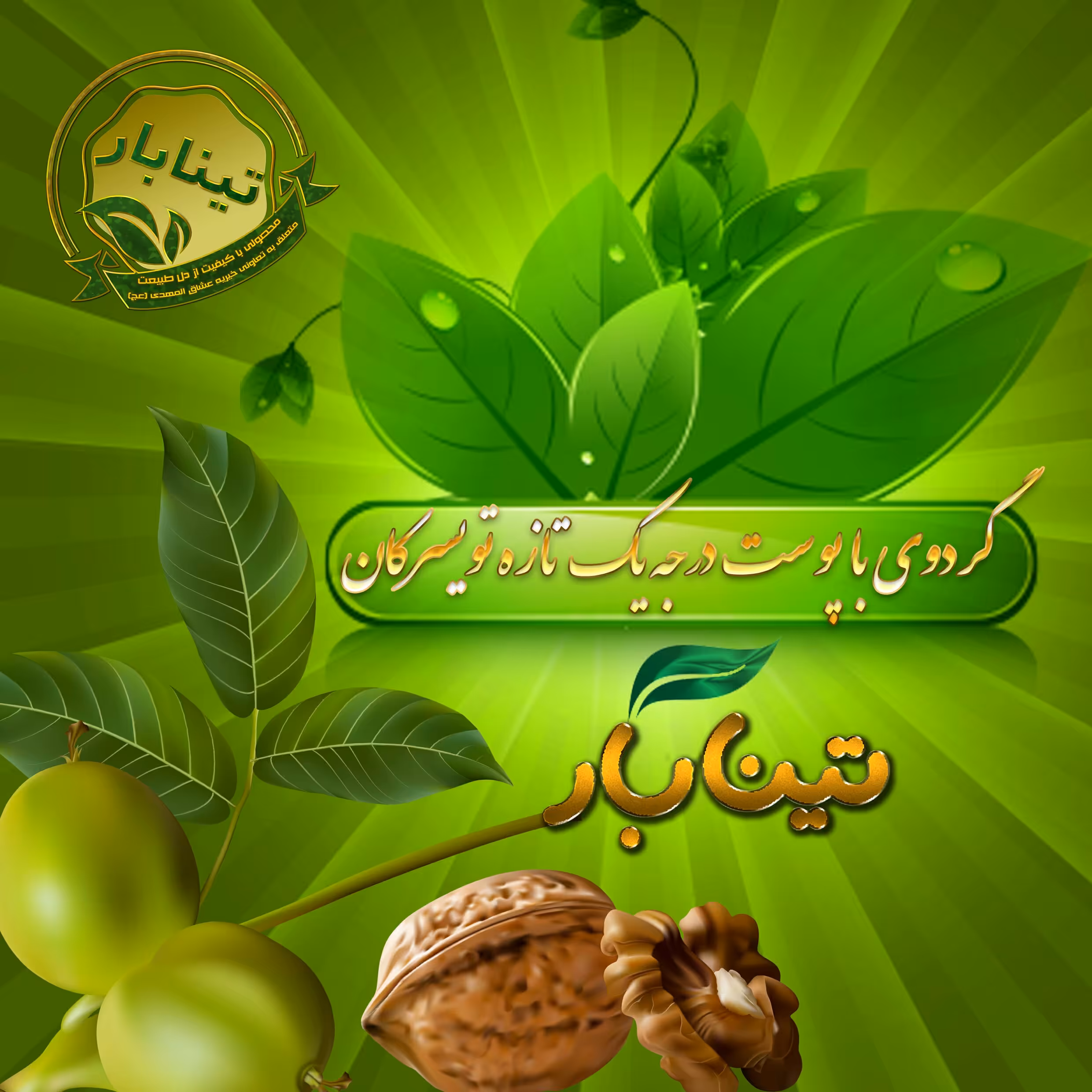 گردو با پوست تویسرکان  یک کیلویی تینابار