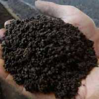 کود ورمی کمپوست 2kg