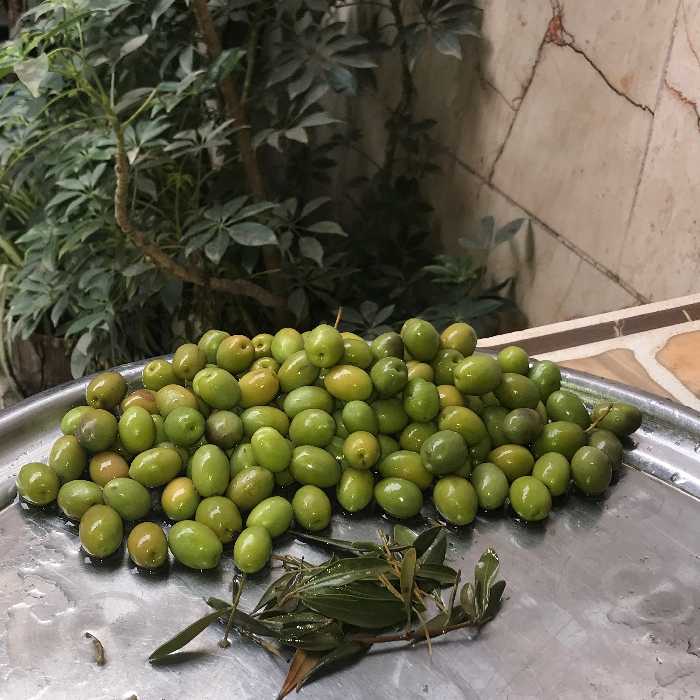 زیتون کنسروی درشت 1 کیلویی (ارسال رایگان)