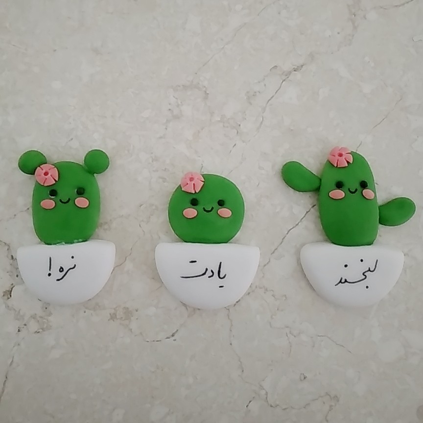 مگنت سه تایی (پازلی )طرح کاکتوس 
