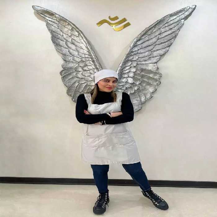 پیشبند استادکار رو دوشی طوسی