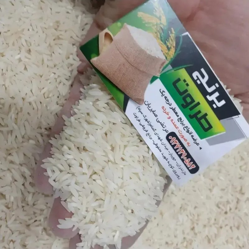 برنج طارم هاشمی درجه یک باعطرعالی بابرندطراوت صابریان