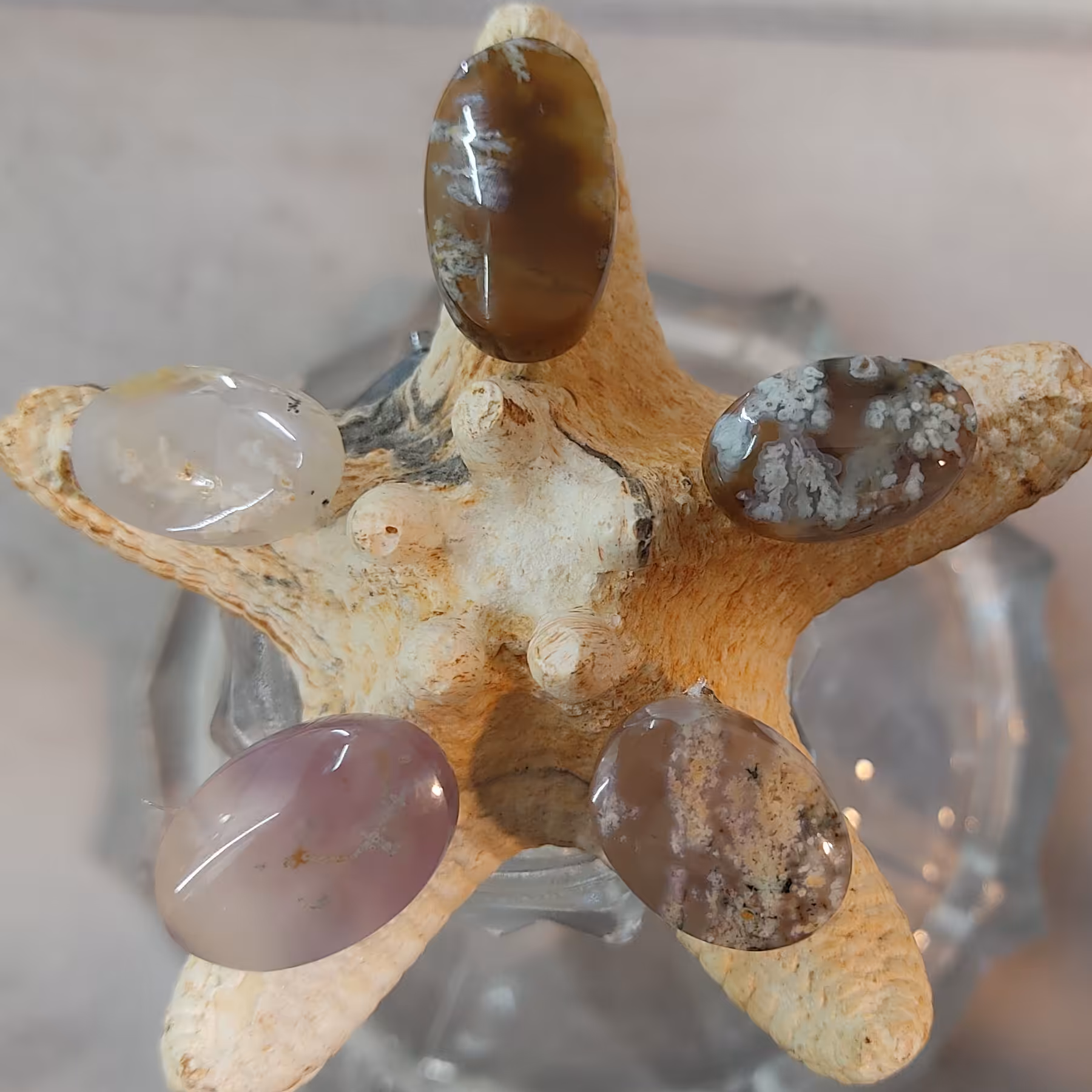  پنج عدد نگین شجر بهاری در یک پک سایزهای ذکر شده تقریبی است سایزهای واقعی در عکس کنار خط کش قابل رویت و واقعی میباشد