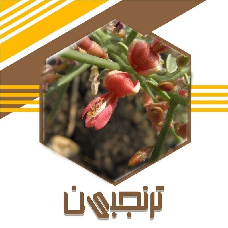 عرق خارشتر (1 لیتری)ترنجبین