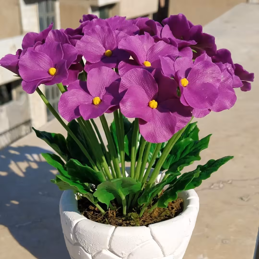 گلدان بنفشه آفریقایی دکوری