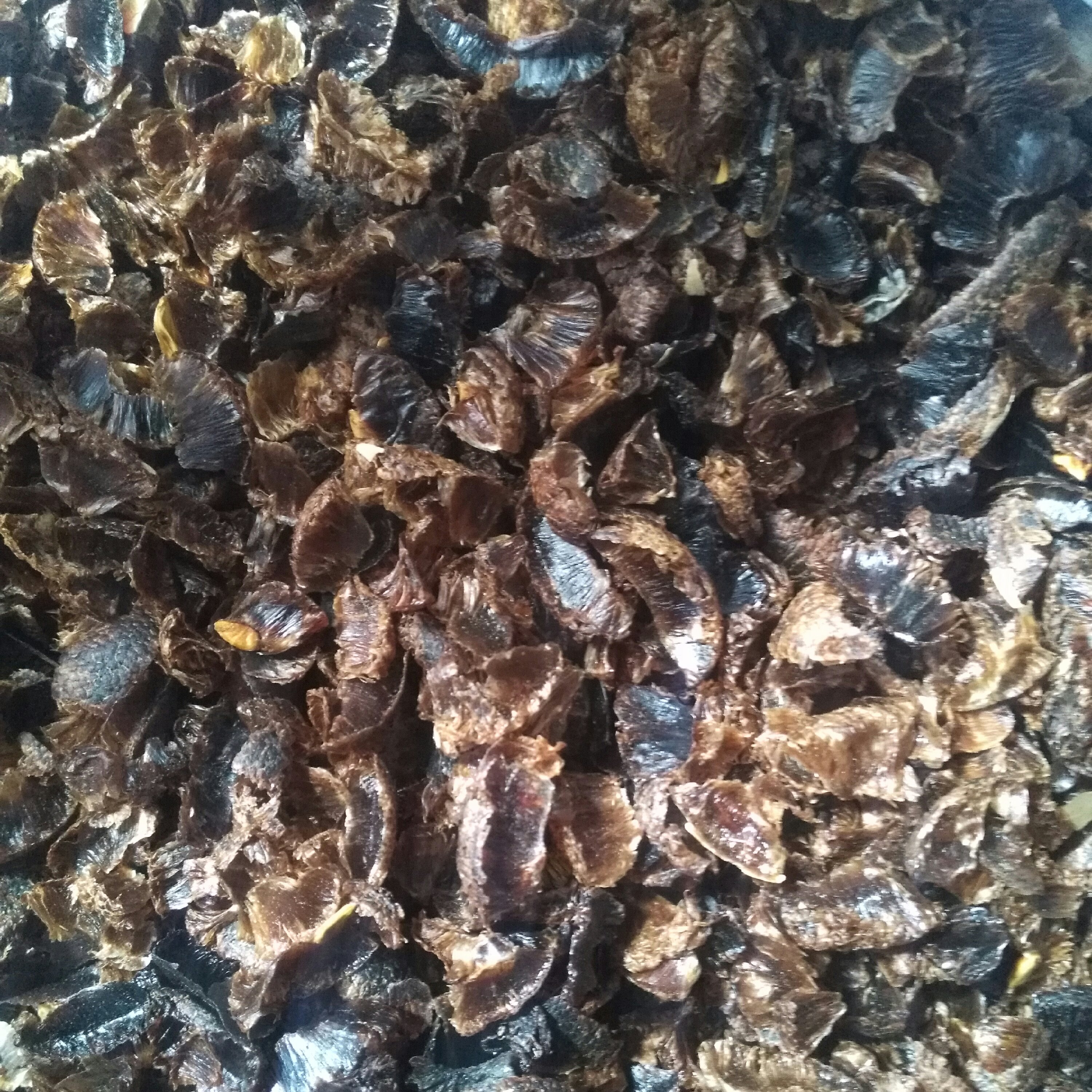 پر لیمو عمانی نیم کیلویی (ارسال رایگان)