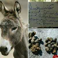 عنبرنسارا نیم کیلویی