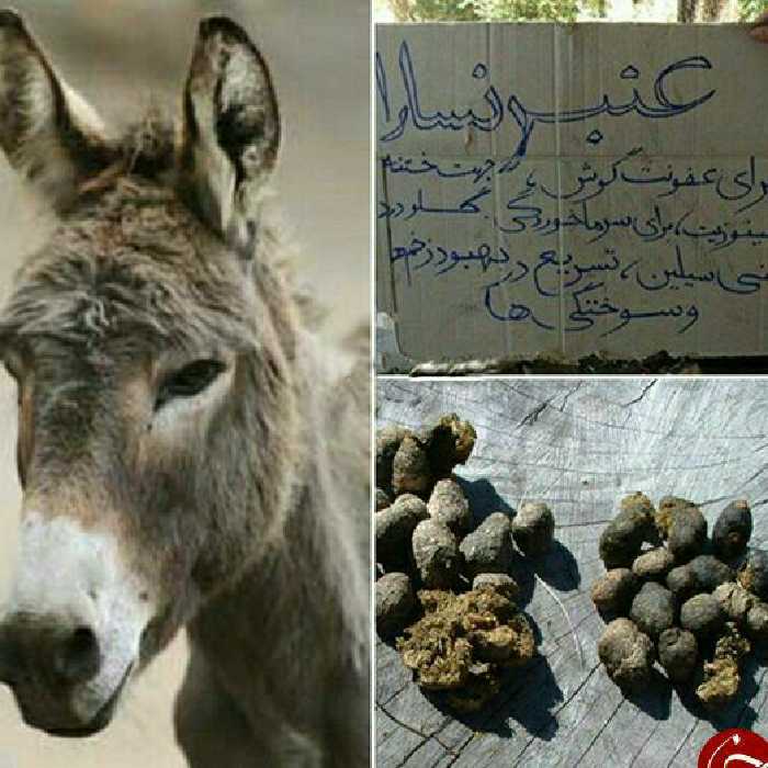 عنبرنسارا نیم کیلویی