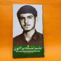 کتاب دلم تنگه براتون(زندگینامه و خاطرات طلبه و دانشجوی شهید علی عباس حسین پور) انتشارات شهید ابراهیم هادی 