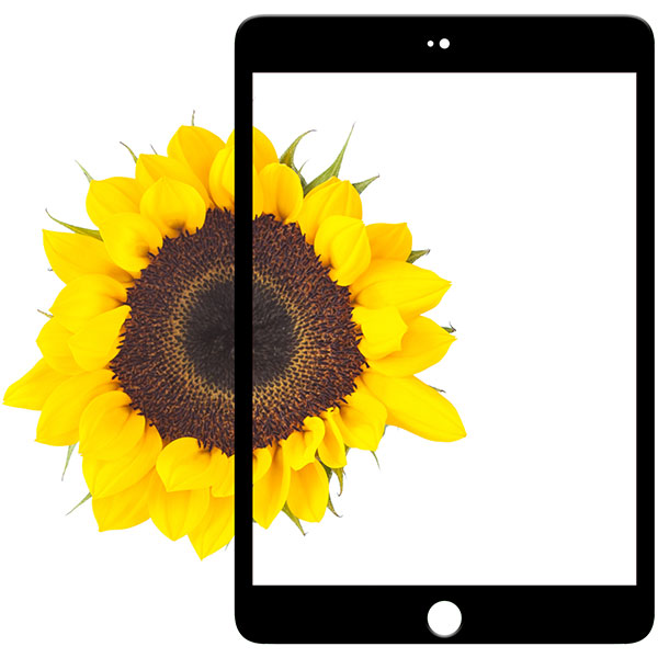 موشی آی ویزور گلس مخصوص آیپد مینی و آیپد مینی رتینا - مشکی - Hiapple.ir