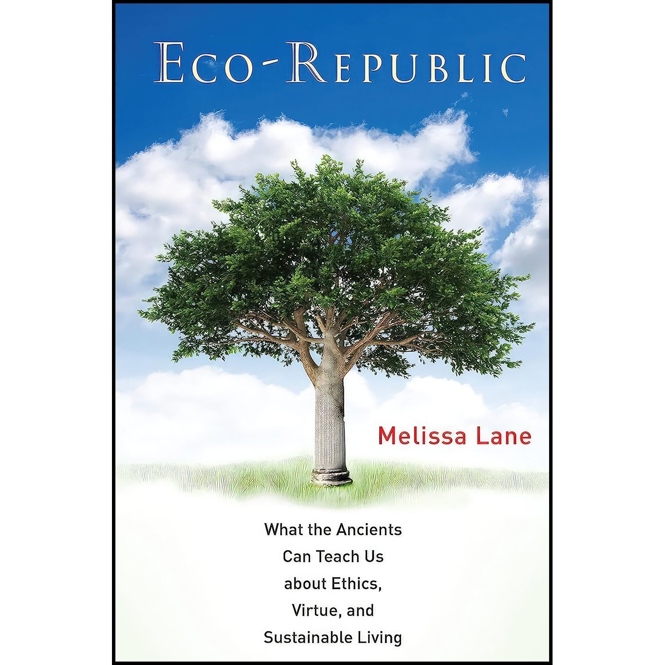 کتاب زبان اصلی EcoRepublic اثر M S Lane and Melissa Lane