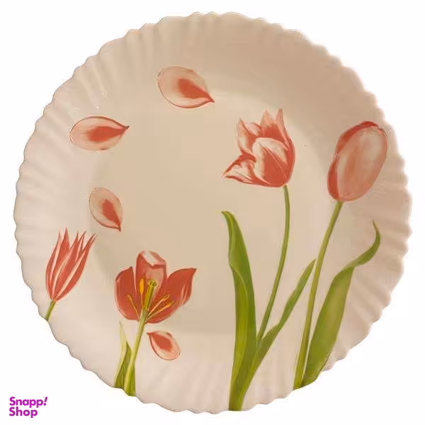 دیس لومینارک مدل می تام