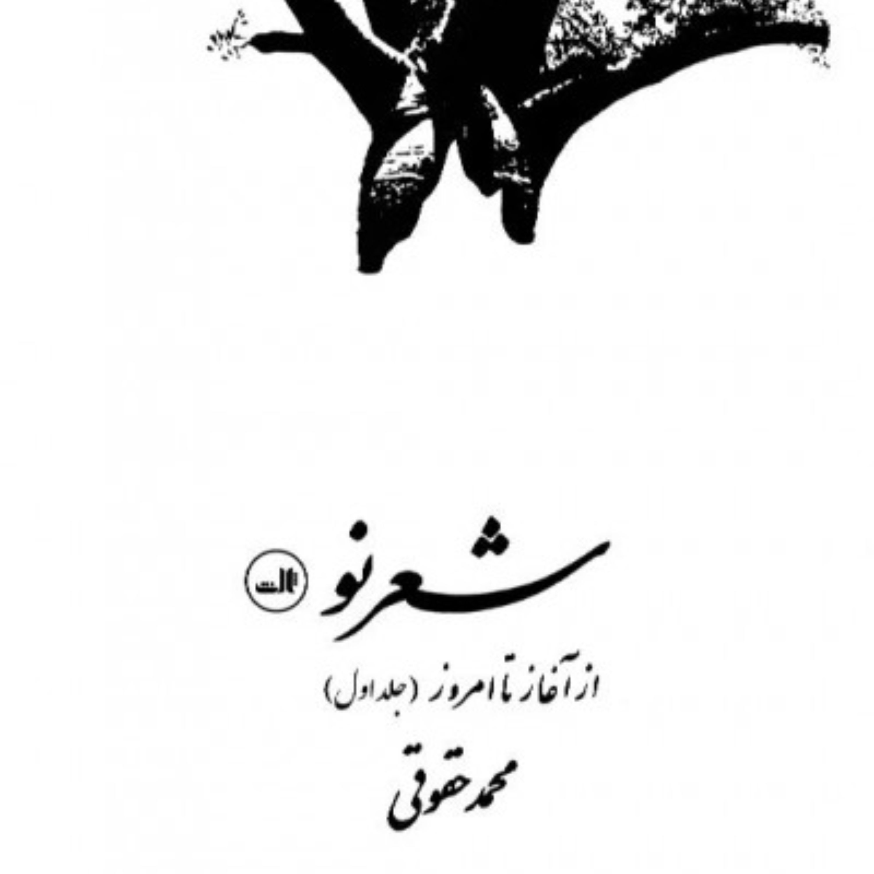 شعر نو از آغاز تا امروز جلد اول