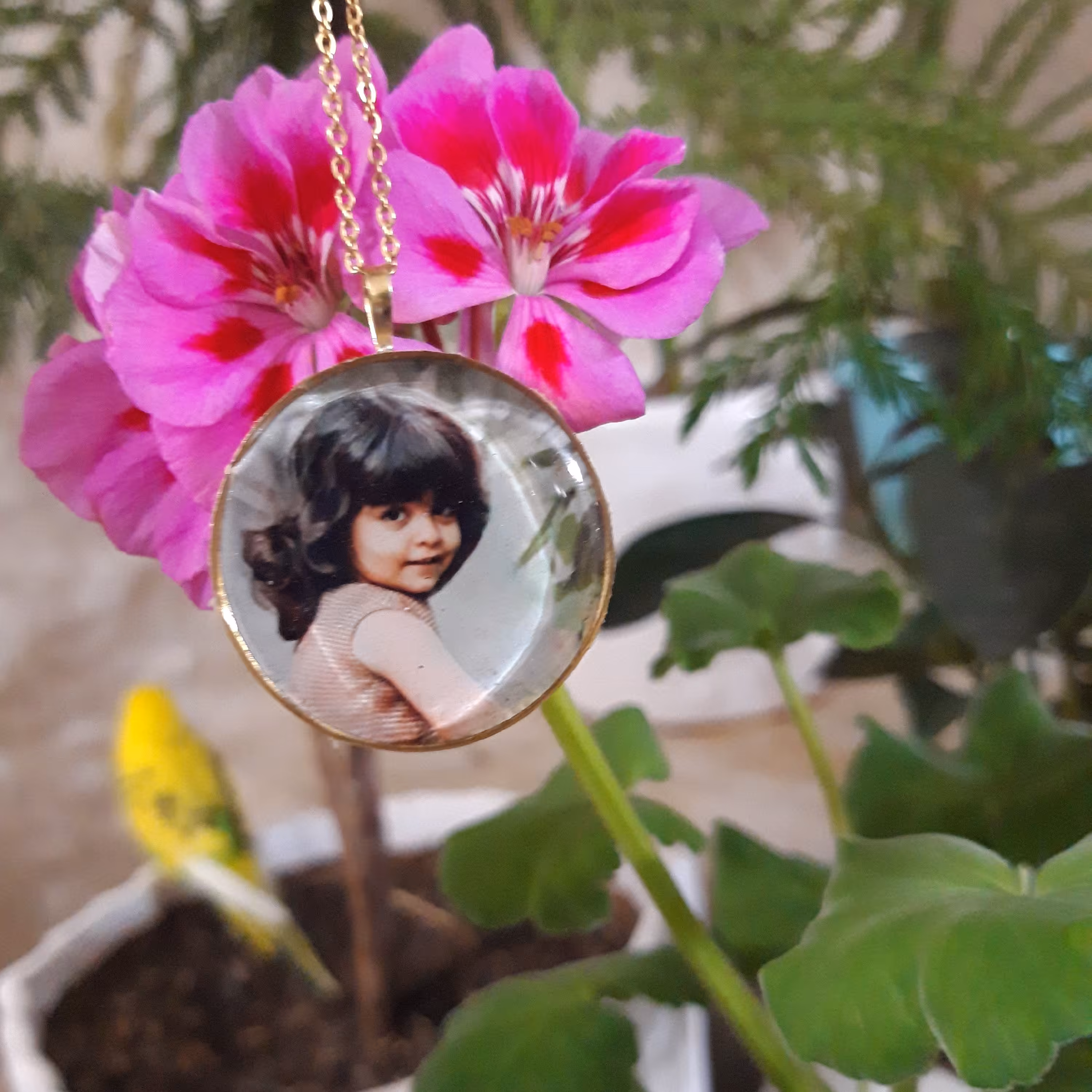 پلاک عکس رزینی