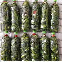 خیارشور خانگی بطری یک ونیم لیتری گیلان.رشت