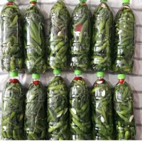 خیارشور خانگی بطری یک ونیم لیتری گیلان.رشت