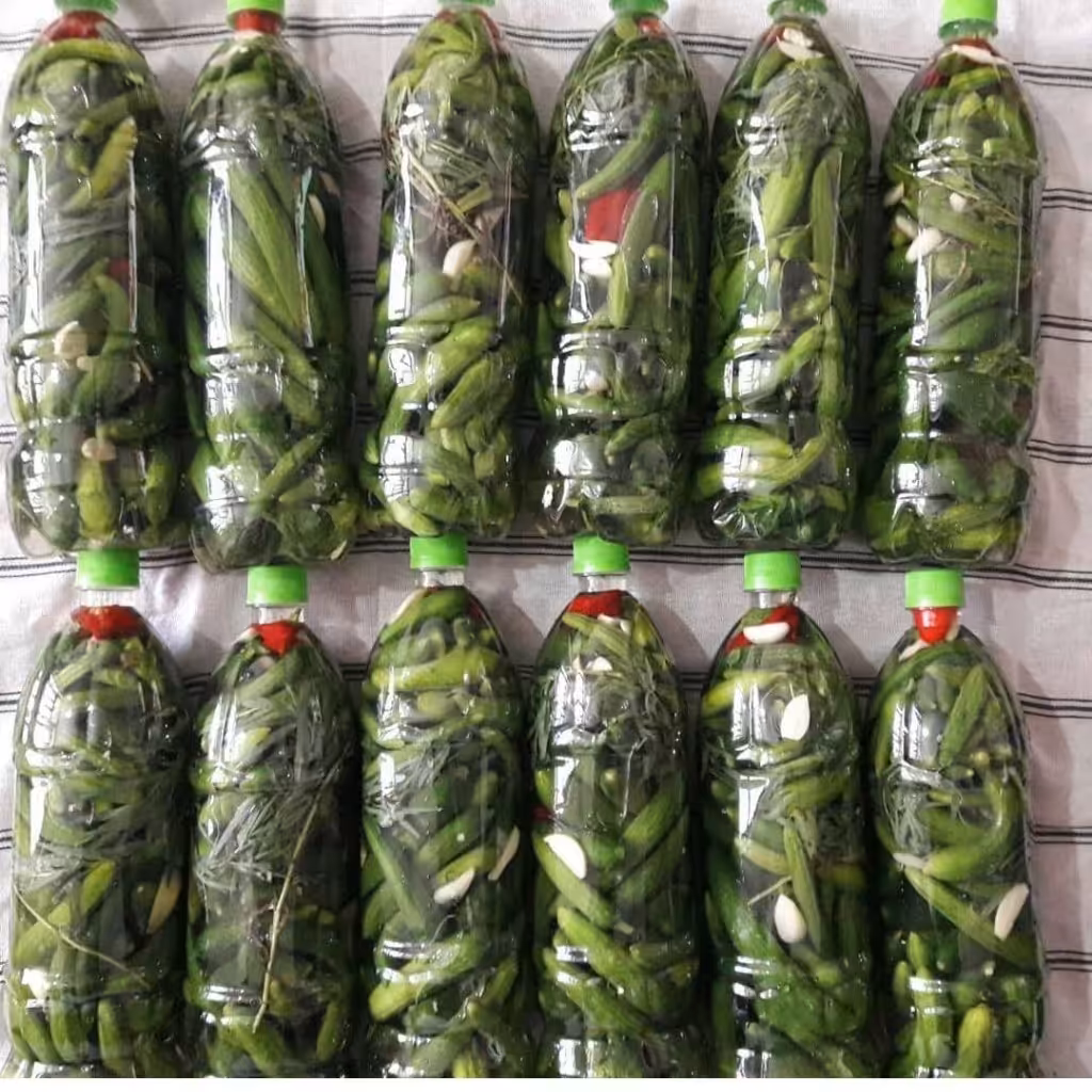 خیارشور خانگی بطری یک ونیم لیتری گیلان.رشت