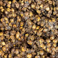 زیتون پرورده خونگی فله  درجه یک  (یک کیلویی)