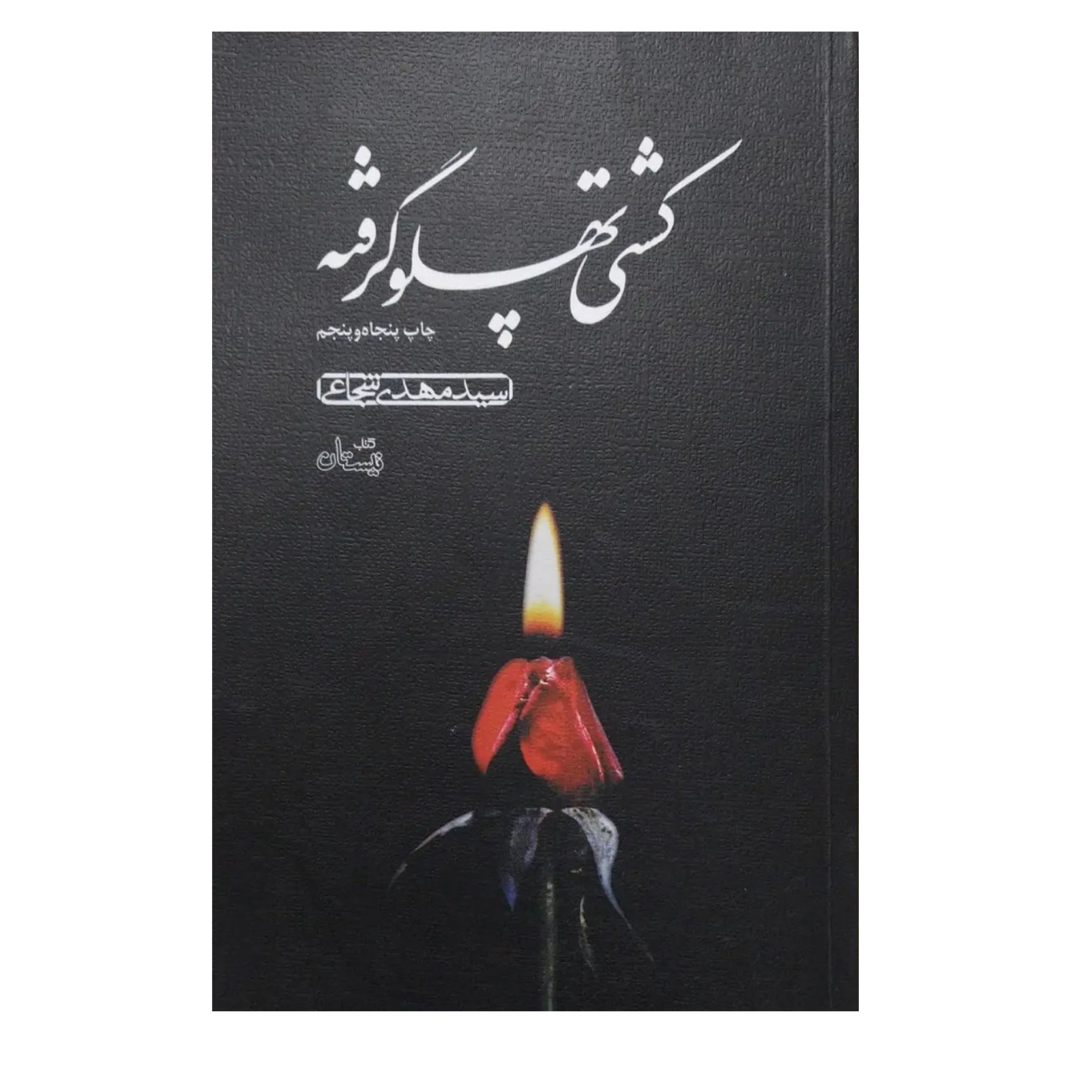 کتاب کشتی پهلو گرفته اثر سید مهدی شجاعی 