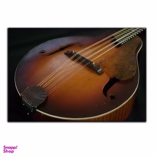 تابلو شاسی بکلیت طرح ساز موسیقی ویولن سل مدل SH-5892
