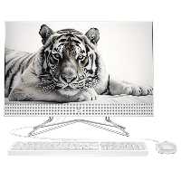 کامپیوتر All In One اچ پی 22 اینچی مدل HP 200 G4 - 5D پردازنده Core i5 رم 8GB حافظه 512GB SSD گرافیک Intel غیرلمسی