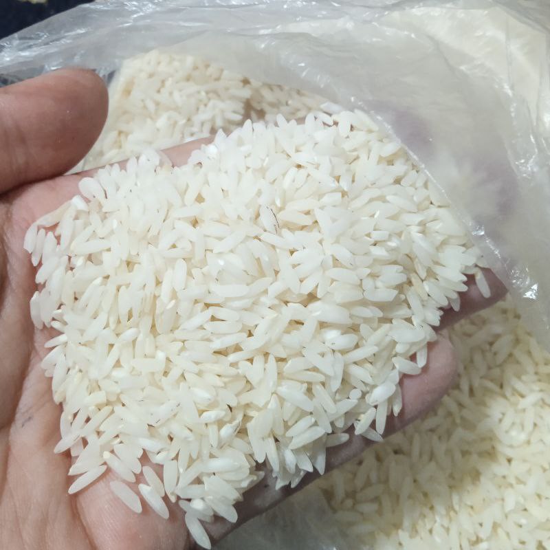 برنج طارم