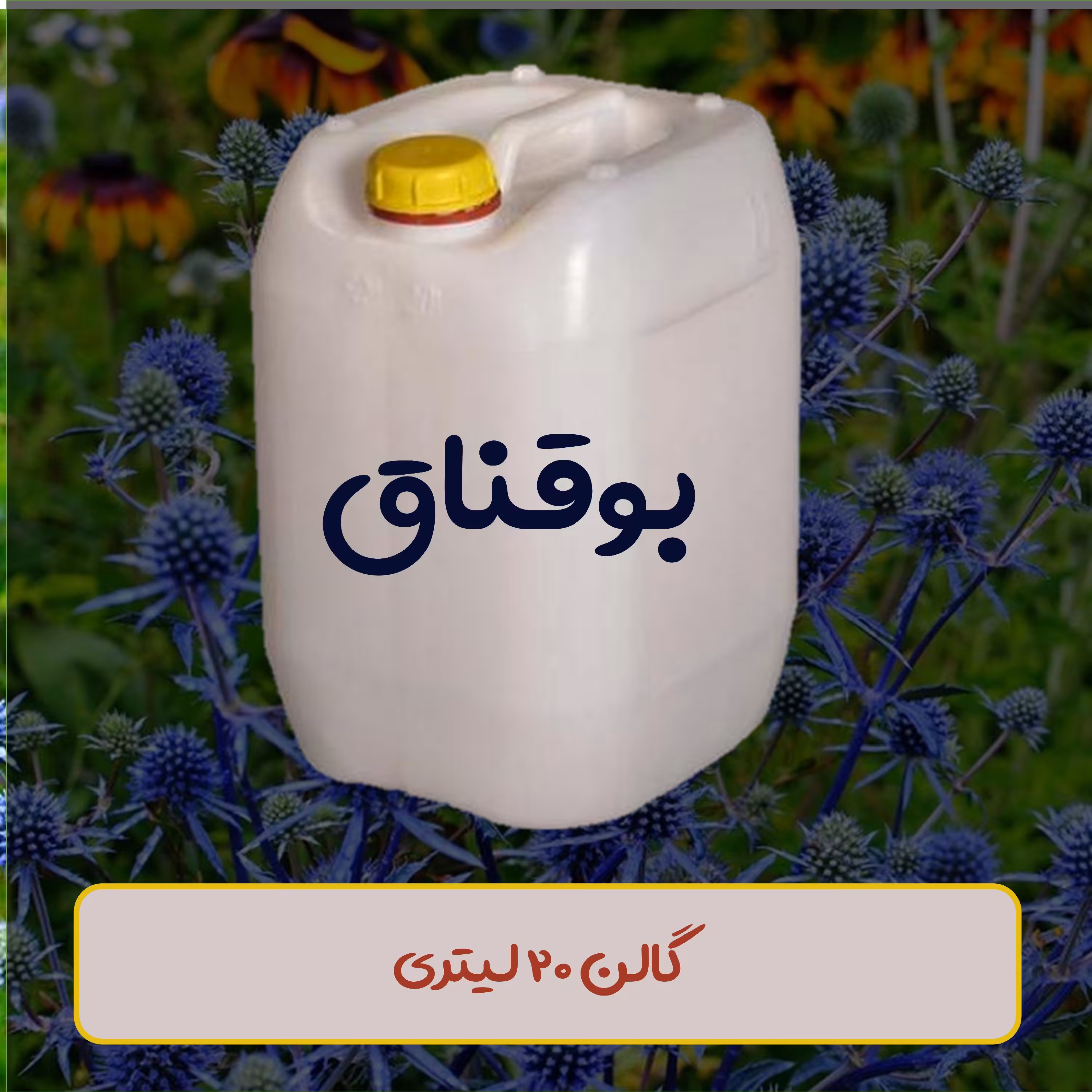 عرق بوقناق دوآتشه ( ضد دیابت ) ( ارسال رایگان )