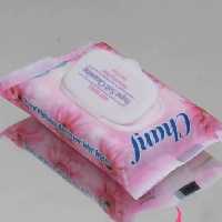 دستمال مرطوب چانف 