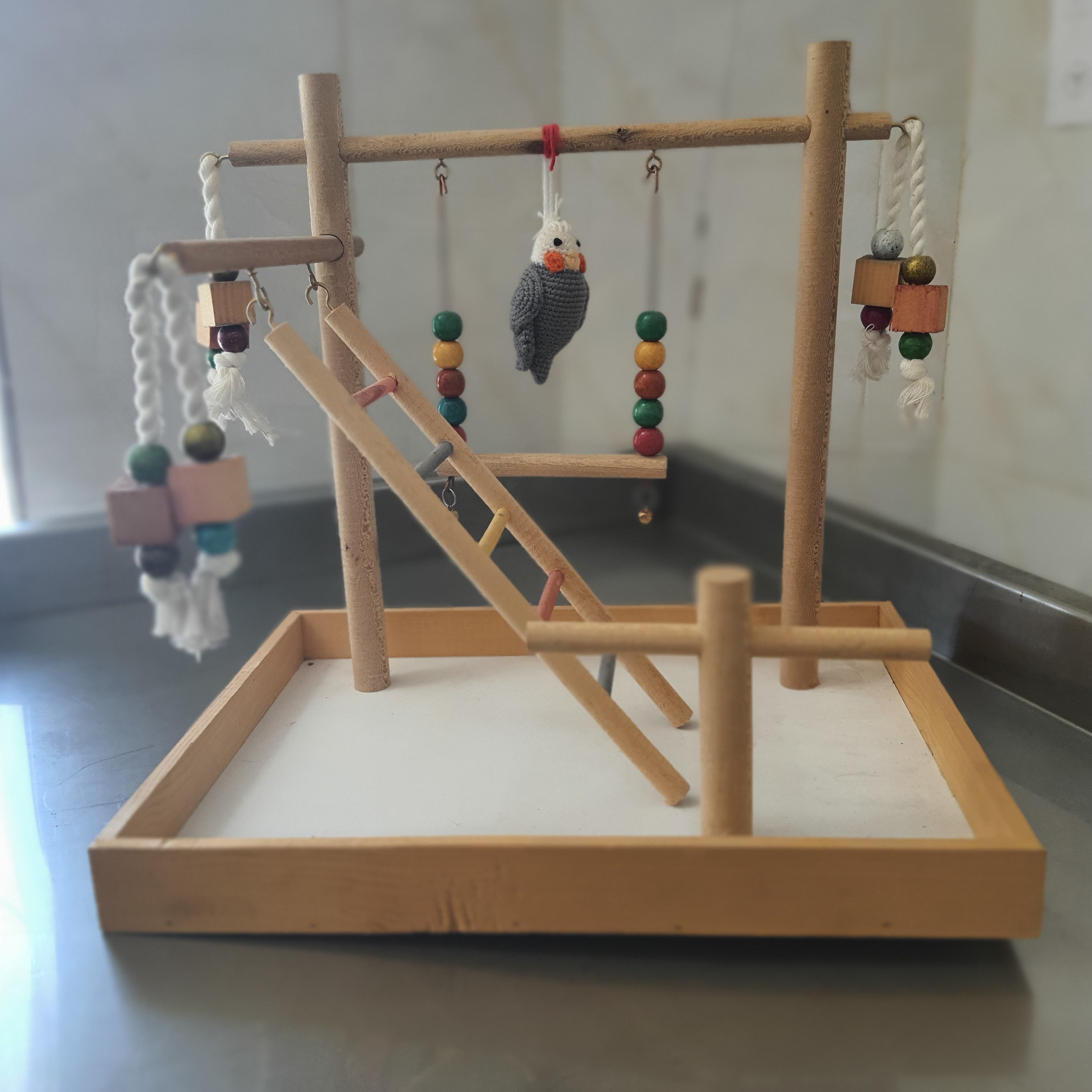 پارک بازی چوبی رنگی پرندگان زینتی