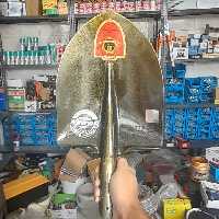 بیل سخت کاری شده سایز 2 sunex made in korea 