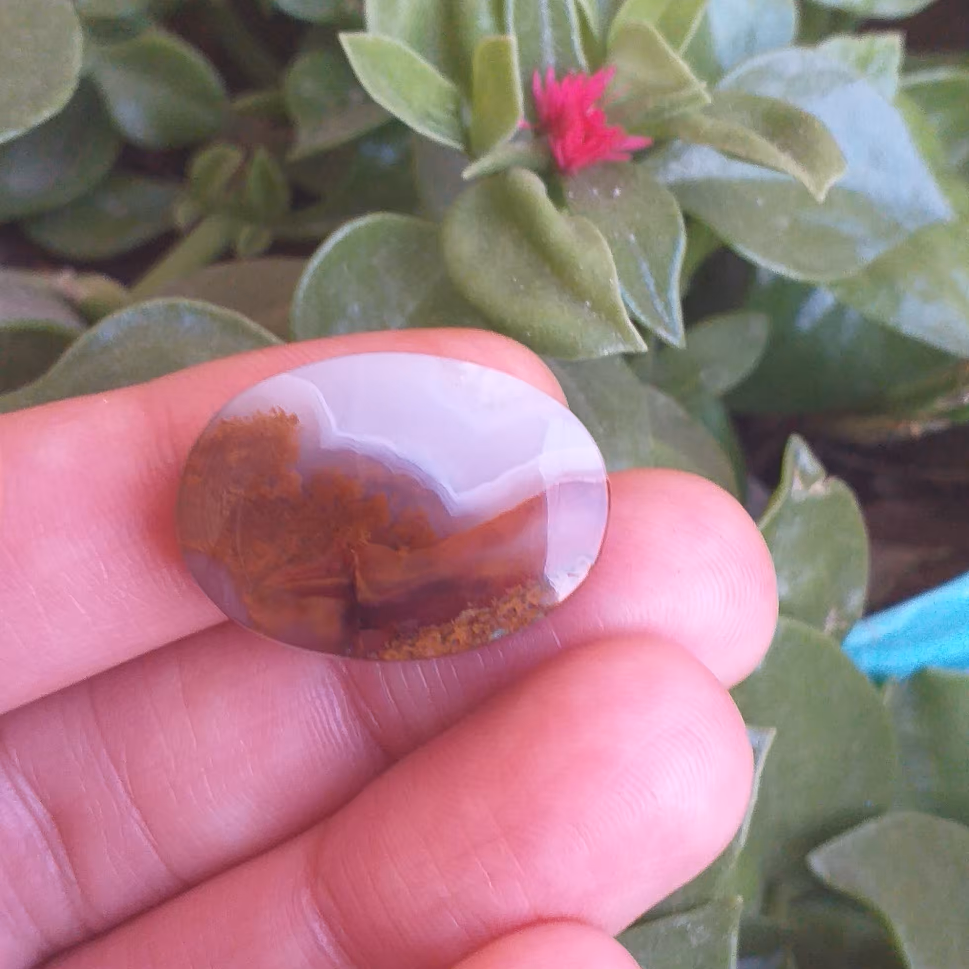 نگین عقیق شجر پاییزی با همزیستی رگه های سلیمانی