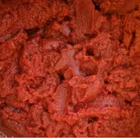 رب صدرصد خانگی