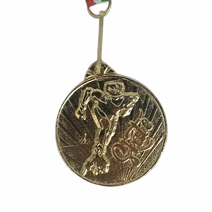 مدال قهرمانی طرح اسکیت