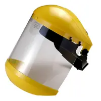 شیلد ایمنی بلو ایگل مدل B1FC83C3