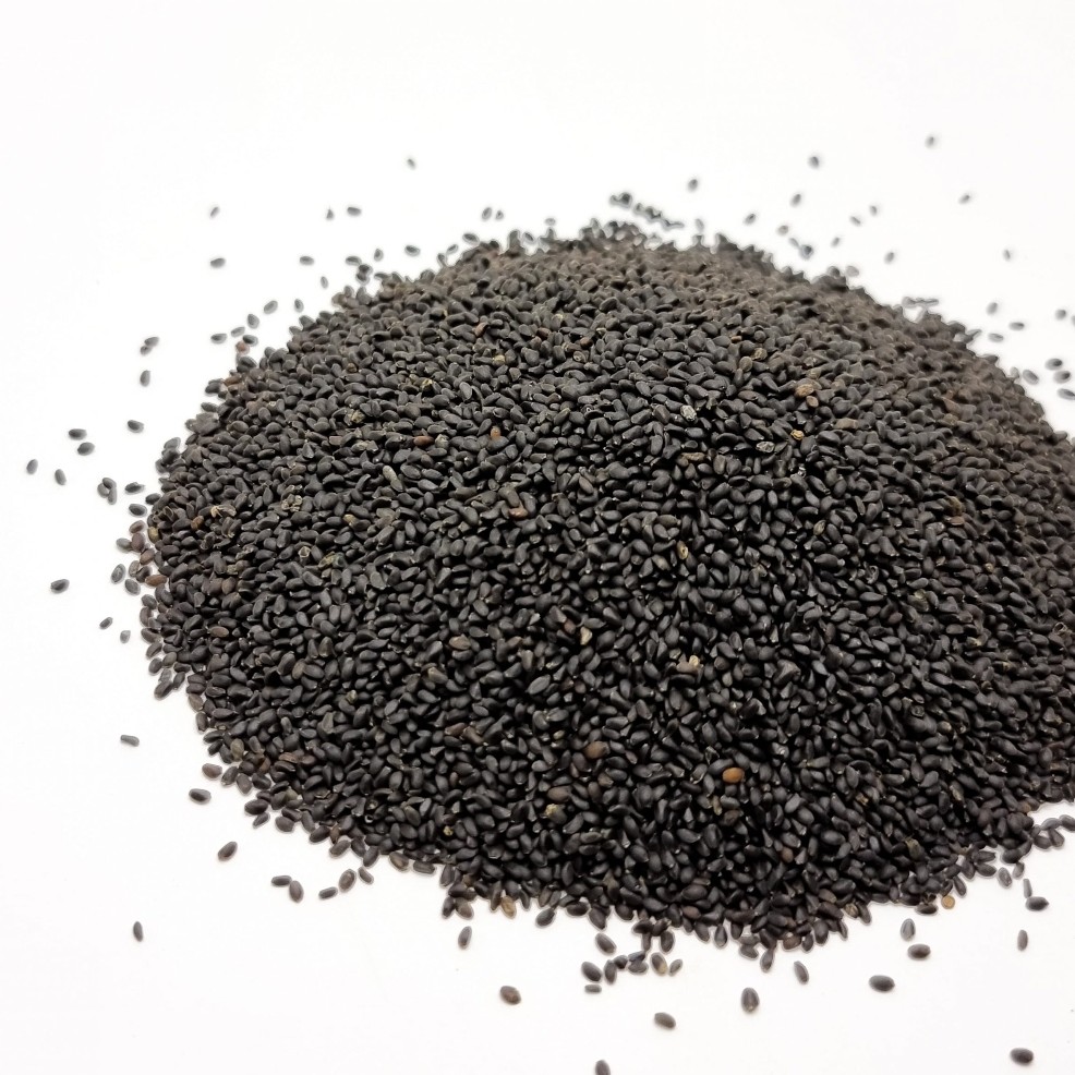 تخم شربتی درشت