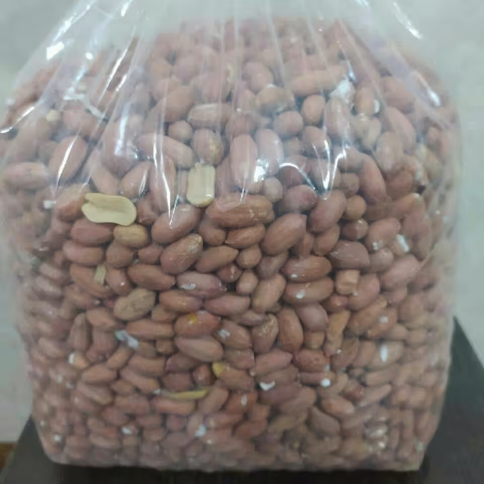 مغز بادام زمینی آستانه اشرفیه (5کیلویی)