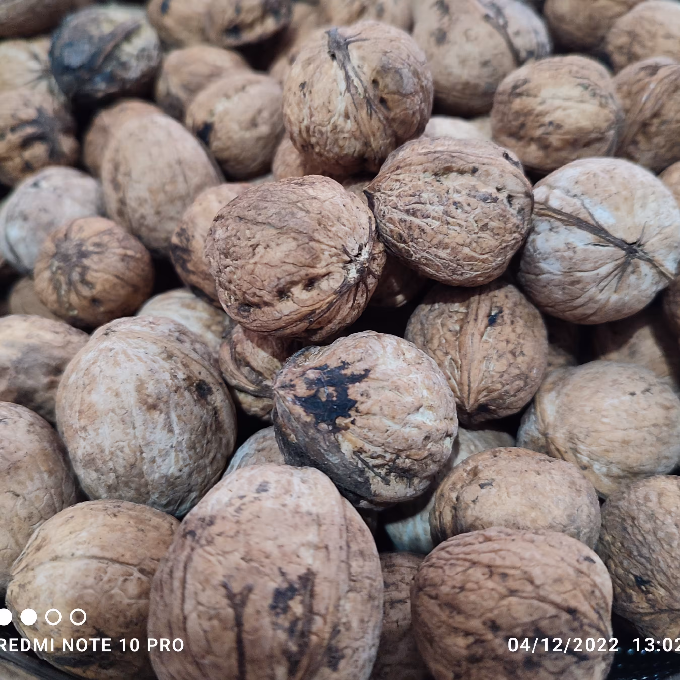 گردو کاغذی پر چرب دو کیلویی  همدان (پس کرایه)