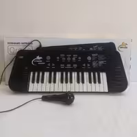 ارگ باطری خور و برقی 