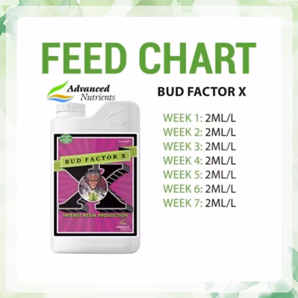 کود ادونس ‏Bud Factor X