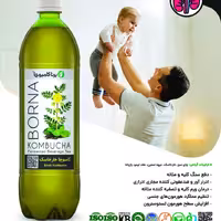 تخفیف ویژه ی نوشیدنی خارخاسک برنا کامبوچا