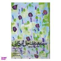 کتاب سرمایه داری میل و بردگی اثر مارکس و اسپینوزا انتشارات روزنه
