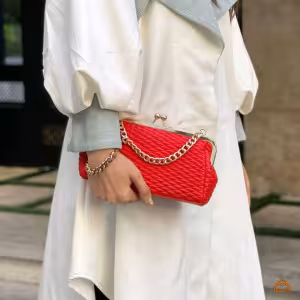 کیف پاسپورتی