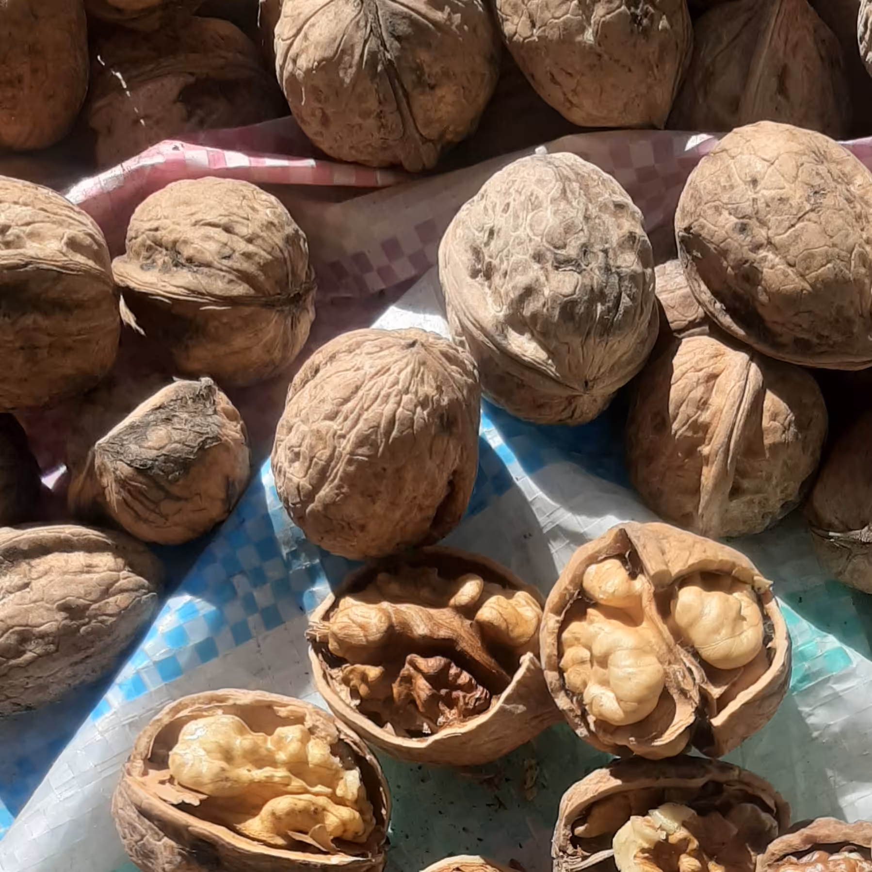 گردوی  فسنجونی کردستان(1000 گرمی)