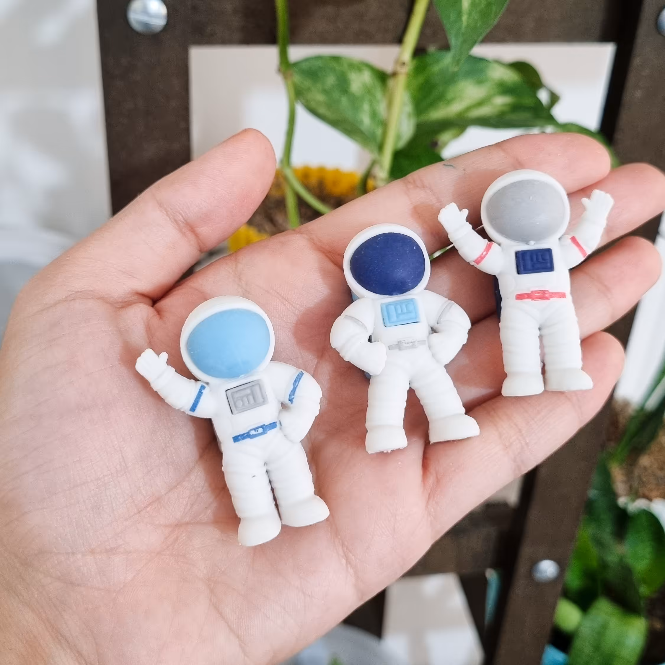 پاکن فانتزی فضانورد